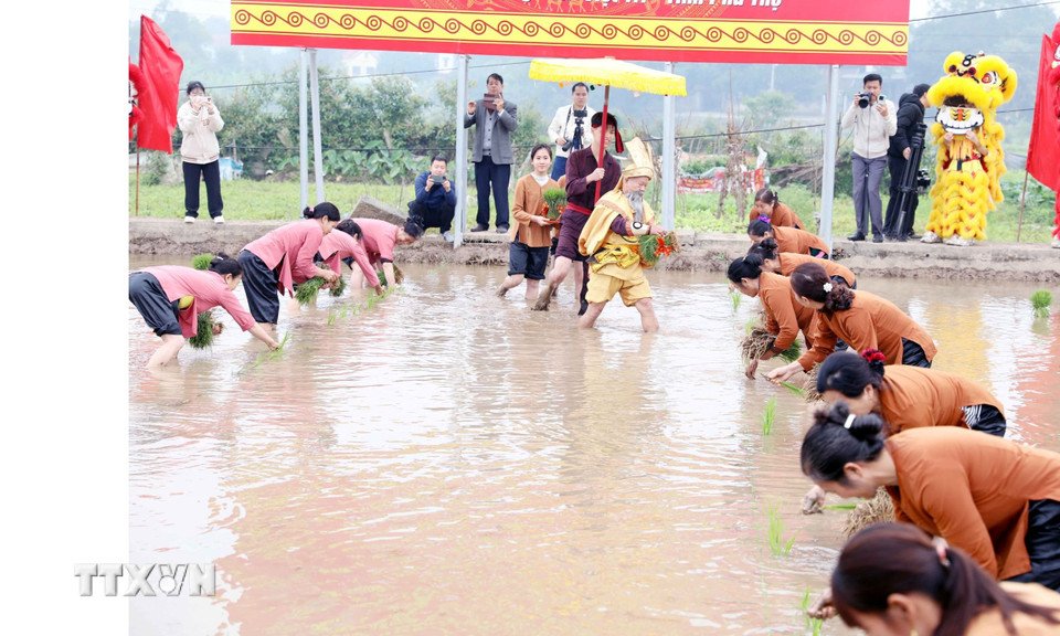 Tái diễn “Vua Hùng dạy dân cấy lúa.” (Ảnh: Tạ Toàn/TTXVN)