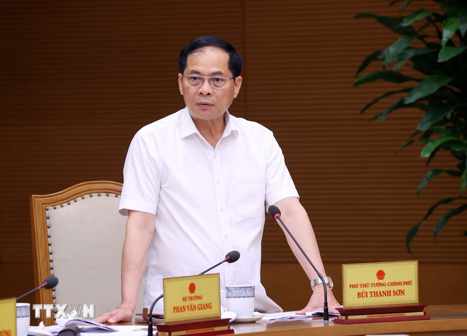 Ông Bùi Thanh Sơn, Ủy viên Trung ương Đảng, Ủy viên Ban Thường vụ Đảng ủy Chính phủ, Phó Thủ tướng, Bộ trưởng Bộ Ngoại giao phát biểu. (Ảnh: Văn Điệp/TTXVN)