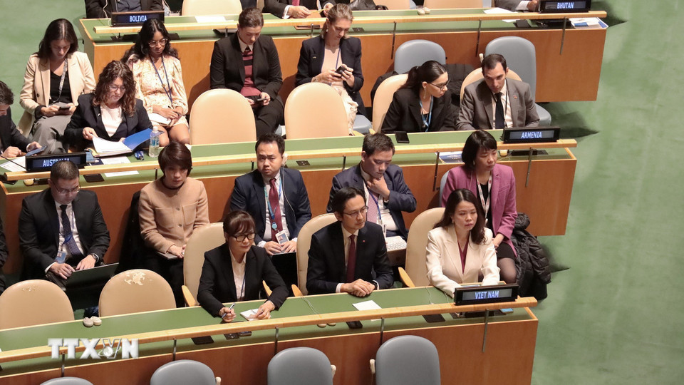 Đoàn Việt Nam tham dự phiên bầu cử. (Ảnh: Thanh Tuấn/TTXVN)