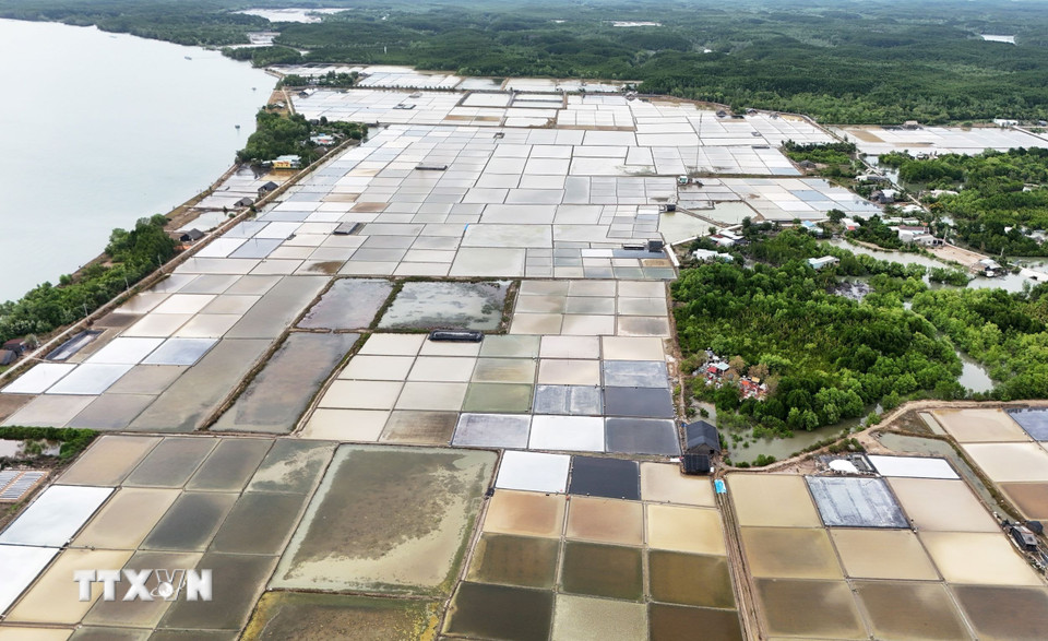 Cánh đồng muối ở ấp đảo Thiềng Liềng là một không gian đặc trưng để khách du lịch trải nghiệm, khám phá. (Ảnh: Hồng Đạt/TTXVN)