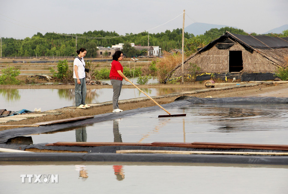 Khách du lịch trải nghiệm nghề làm muối ở ấp đảo Thiềng Liềng. (Ảnh: Hồng Đạt/TTXVN)