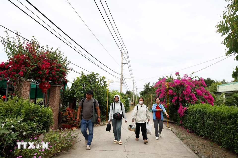 Khách du lịch đi trên con đường độc đạo qua trung tâm ấp đảo Thiềng Liềng rực rỡ các loài hoa. (Ảnh: Hồng Đạt/TTXVN)
