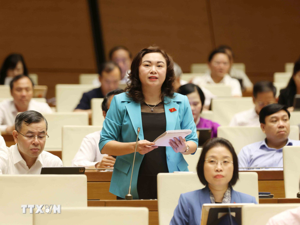 Đại biểu Quốc hội tỉnh Hòa Bình Đặng Bích Ngọc đặt câu hỏi chất vấn. (Ảnh: Phương Hoa/TTXVN)