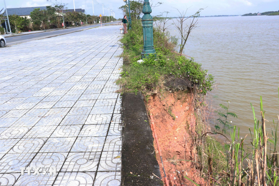 Hệ thống cây xanh, cột điện chiếu sáng dọc đường Trần Thánh Tông có nguy cơ đổ sập bất cứ lúc nào. (Ảnh: Tường Vi/TTXVN)