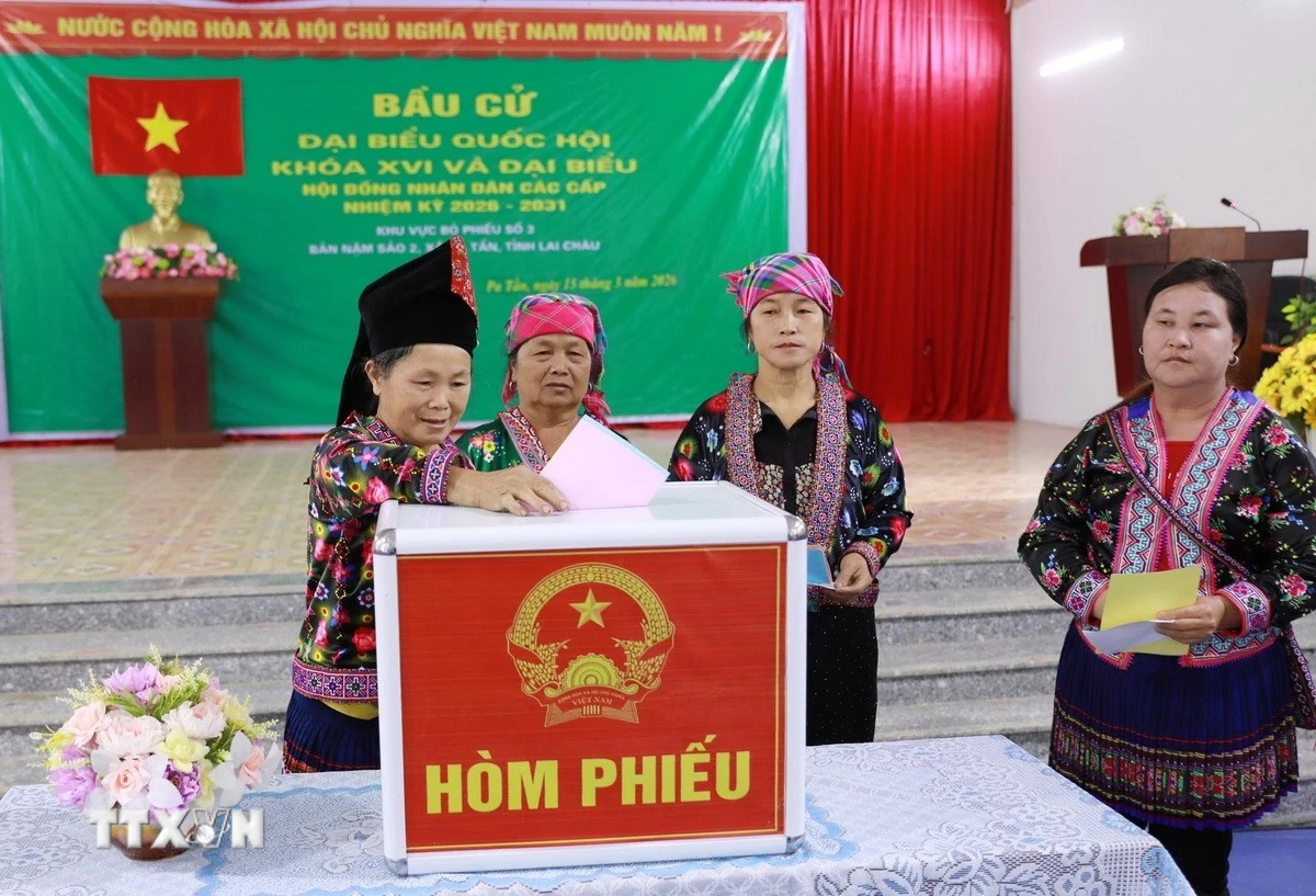 Tỷ lệ cử tri đi bầu cử Quốc hội đạt 99,64% tính đến 22h ngày 15/3