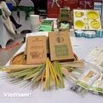 Việc tái chế bao bì đồ uống không chỉ là giải pháp tiết kiệm tài nguyên, giảm phát thải, cải thiện môi trường, mà còn góp phần cung cấp nguyên liệu tái chế cho hoạt động sản xuất mới. (Nguồn ảnh: Vietnam+)