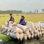 Bộ Nông nghiệp và Môi trường kiên định mục tiêu tăng trưởng ngành 4% trong năm 2025. (Nguồn ảnh: TTXVN)