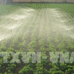 Khung pháp lý chung cho thị trường carbon ở Việt Nam đã tương đối đầy đủ để vận hành. (Ảnh minh hoạ. Nguồn: TTXVN)