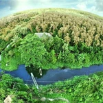 Carbon rừng. (Nguồn ảnh: Cục Viễn thám quốc gia)