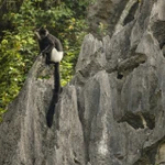 Ảnh minh họa. (Ảnh: FFI)