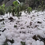 Mưa đá. (Ảnh minh hoạ. Nguồn: TTXVN phát)