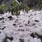 Mưa đá. (Ảnh minh hoạ. Nguồn: TTXVN phát)