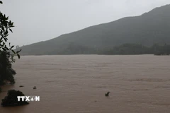 Nước sông Thu Bồn dâng cao. (Ảnh: Anh Dũng/TTXVN)