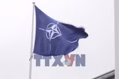 NATO tìm hiểu lý do Mỹ cắt giảm 5.000 binh sỹ đồn trú tại Đức