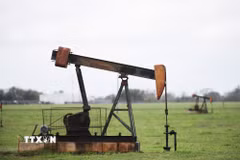 Tháp khoan dầu tại Luling, Texas, Mỹ. (Ảnh: THX/TTXVN)