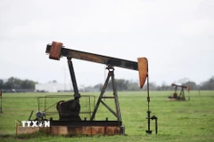 Tháp khoan dầu tại Luling, Texas, Mỹ. (Ảnh: THX/TTXVN)