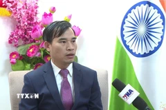 Tham tán Thương mại Việt Nam tại Ấn Độ Bùi Trung Thướng. (Ảnh: Quang Trung/TTXVN)