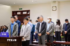 Các bị cáo tại phiên tòa phúc thẩm. (Ảnh: Phạm Kiên/TTXVN)