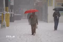 Tuyết rơi dày tại New York, Mỹ. (Ảnh: THX/TTXVN)