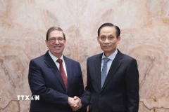 Bộ trưởng Bộ Ngoại giao Lê Hoài Trung hội đàm với Đặc phái viên Đảng, Chính phủ Cuba, đồng chí Bruno Rodríguez Parrilla. (Ảnh: An Đăng/TTXVN)