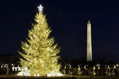 Cây thông Noel Quốc gia Mỹ rực rỡ ánh đèn trong mùa lễ hội, bên cạnh biểu tượng Tháp Bút chì (Washington Monument) nổi tiếng của thủ đô Washington DC. (Ảnh: Ngọc Quang/TTXVN)