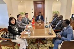 Đại sứ Nguyễn Nam Dương (bên trái, hàng đầu) và Bộ trưởng Ngoại giao và Hợp tác quốc tế Nam Sudan Monday Semaya Kumba (giữa) và Đại sứ Nam Sudan tại Ai Cập, ông Kuol Nyok Kuol Arop (hàng đầu, bên phải). (Ảnh: Báo Thế giới và Việt Nam)