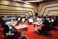 Quang cảnh Cuộc họp Ủy ban Hợp tác chung ASEAN-Mỹ lần thứ 17. (Ảnh: TTXVN phát)