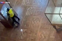 Người đội mũ trùm đầu màu đen và mặc áo phản quang vàng trong vụ trộm. (Ảnh: TF1)