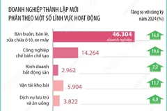 7 tháng năm 2025, số doanh nghiệp thành lập mới và trở lại hoạt động tăng 22,9%