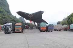 Phương tiện chở hàng xuất nhập khẩu tập kết tại khu vực sang tải trong lối thông quan Cốc Nam (Lạng Sơn). (Ảnh: Quang Duy/TTXVN)
