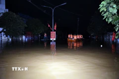 Lực lượng cán bộ chiến sỹ Bộ Chỉ huy Quân sự tỉnh Lạng Sơn và Quân khu 1 thường trực tại xã Thất Khê, tỉnh Lạng Sơn trong đêm để hỗ trợ nhân dân. (Ảnh: Văn Đạt/TTXVN)