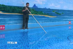Thương binh, Phạm Quang Dương, phường Điện Biên Phủ (tỉnh Điện Biên) phát triển kinh tế với mô hình xây dựng bể bơi và cơ sở giáo dục mầm non tư thục mỗi năm cho thu nhập từ 900 triệu đến 1 tỷ đồng. (Ảnh: Phan Quân/TTXVN)