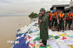 Đà Nẵng: Quân đội giúp khắc phục bờ kè biển An Bàng bị sạt lở