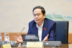 Chủ tịch Quốc hội Trần Thanh Mẫn, đại biểu Quốc hội TP Cần Thơ phát biểu. (Ảnh: Doãn Tấn/TTXVN)