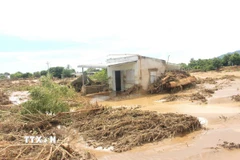 Nước lũ do vỡ hồ chứa từ trên núi ập xuống gây nhiều thiệt hại cho người dân khu vực thôn 2, xã Tuy Phong. (Ảnh: Nguyễn Thanh/TTXVN)