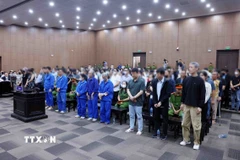 Các bị cáo tại phiên toà xét xử. (Ảnh: Phạm Kiên/TTXVN)
