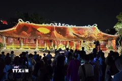 Màn trình diễn 3D mapping “Sóng Bạch Đằng hào khí Ngô Quyền” trình diễn trong đêm ra mắt tour. (Ảnh: Minh Thu/TTXVN)