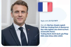 Tổng thống Pháp Emmanuel Macron thăm cấp Nhà nước tới Việt Nam
