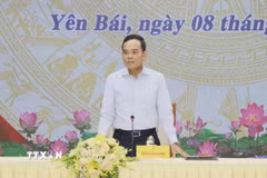 Bí thư Trung ương Đảng, Trưởng Ban Chính sách, chiến lược Trung ương Trần Lưu Quang kết luận tại buổi làm việc. (Ảnh: Tuấn Anh/TTXVN)