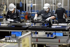 Công nhân làm việc tại một nhà máy ở Nhật Bản. (Ảnh minh họa. AFP/TTXVN)