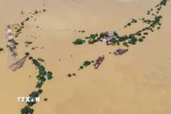 Nhiều hộ dân thôn Ngô Đạo, xã Đa Phúc (Hà Nội) bị cô lập do nước sông Cầu dâng cao. (Ảnh: Hoàng Hiếu/TTXVN)