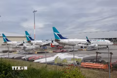 Máy bay của hãng hàng không WestJet tại sân bay quốc tế Vancouver ở Richmond, British Columbia, Canada. (Ảnh: THX/TTXVN)