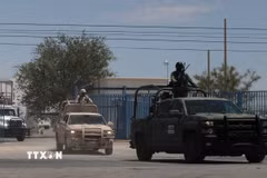 Binh sỹ Mexico. (Ảnh: AFP/TTXVN)