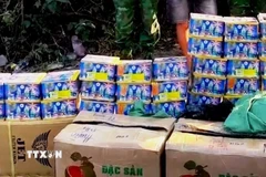 Phá vụ vận chuyển trái phép 165kg pháo hoa nổ qua biên giới tỉnh Quảng Ninh