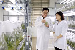 Công ty cổ phần Tập đoàn Thai Binh Seed là một trong những doanh nghiệp hàng đầu về giống cây trồng tại Việt Nam với việc sở hữu bản quyền 30 giống cây trồng; 3 nhà máy đạt tiêu chuẩn quốc tế. (Ảnh: Thế Duyệt/TTXVN)