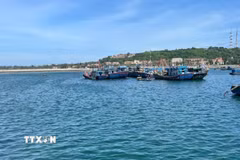 Âu cảng tại Đặc khu Bạch Long Vĩ. (Ảnh minh họa. Tiến Vĩnh/TTXVN)