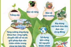 Ngày Quốc tế đa dạng sinh học: Hành động của địa phương cho hiệu quả toàn cầu