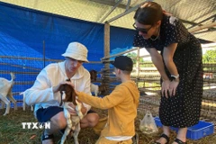 Khách du lịch trải nghiệm tại trang trại nông nghiệp ở tỉnh Khánh Hòa. (Ảnh: TTXVN phát)