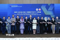Các Đại sứ Phái đoàn các nước ASEAN và các diễn giả tại Diễn đàn. (Ảnh: Đỗ Quyên/TTXVN)