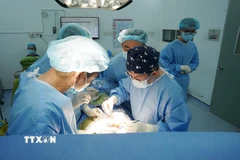 Các bác sỹ Bệnh viện Thống Nhất Thành phố Hồ Chí Minh thực hiện ghép thận cho bệnh nhân từ nguồn thận hiến của người chết não. (Ảnh: TTXVN phát)